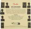 Fender Joe Strummer RDWN Tele pickup set